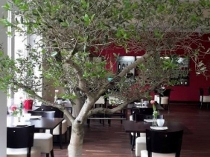 Foto: Mediterrana